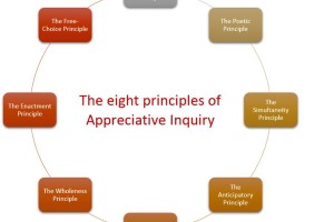 8 principles of appreciative inquiry